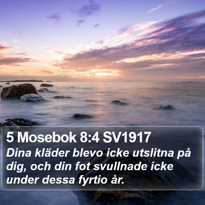 5 Mosebok 8:4 SV1917 Bible Study