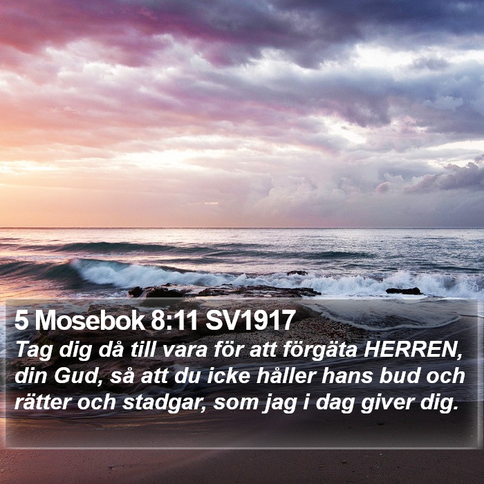 5 Mosebok 8:11 SV1917 Bible Study