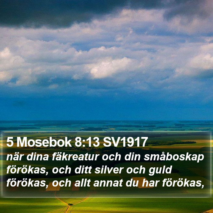 5 Mosebok 8:13 SV1917 Bible Study