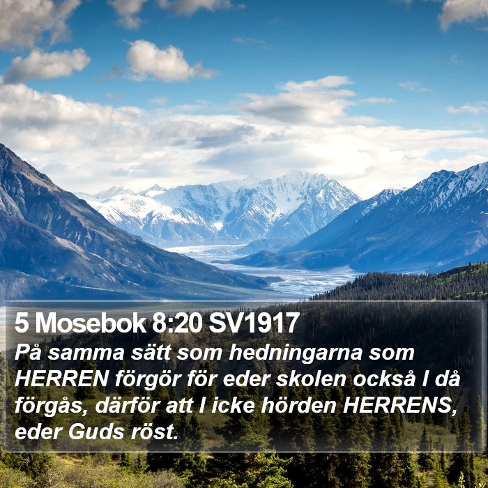 5 Mosebok 8:20 SV1917 Bible Study