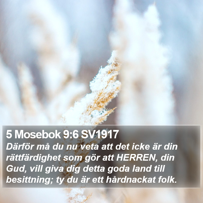 5 Mosebok 9:6 SV1917 Bible Study