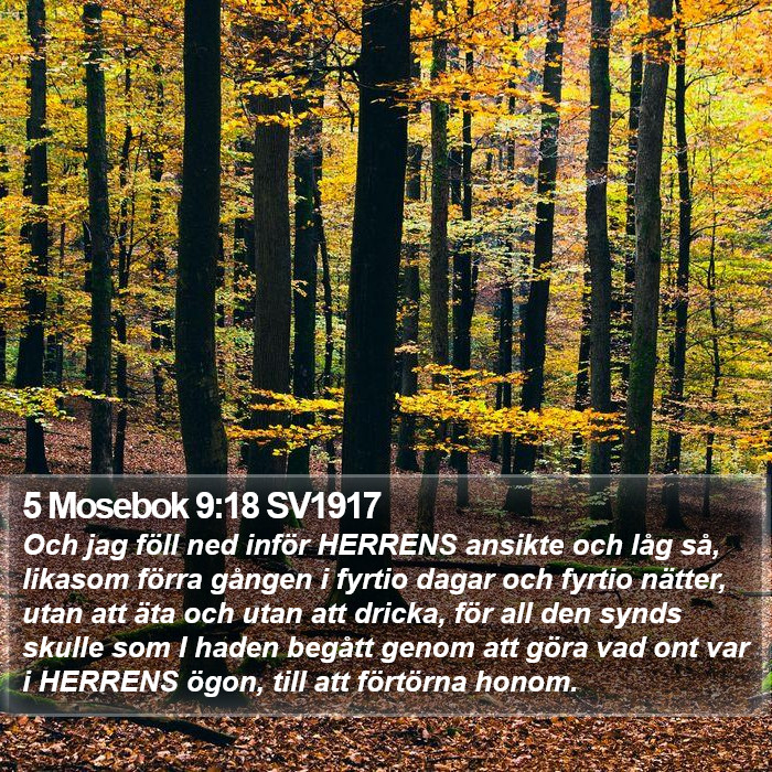 5 Mosebok 9:18 SV1917 Bible Study