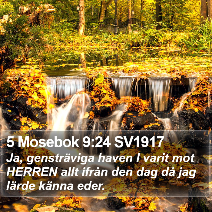 5 Mosebok 9:24 SV1917 Bible Study