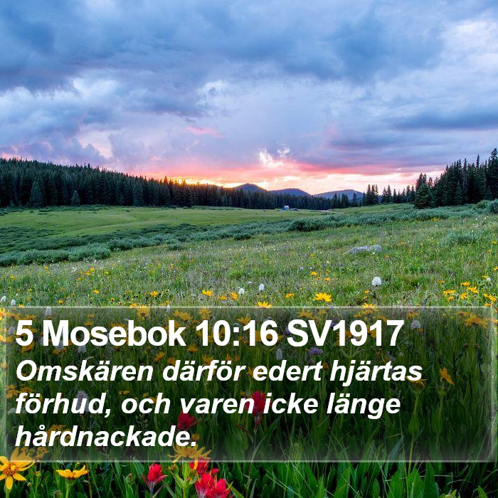 5 Mosebok 10:16 SV1917 Bible Study