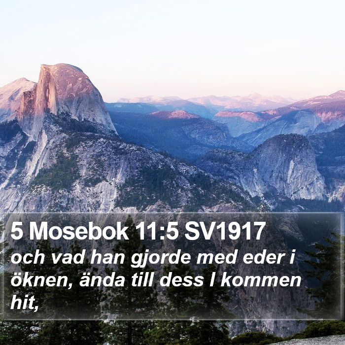 5 Mosebok 11:5 SV1917 Bible Study