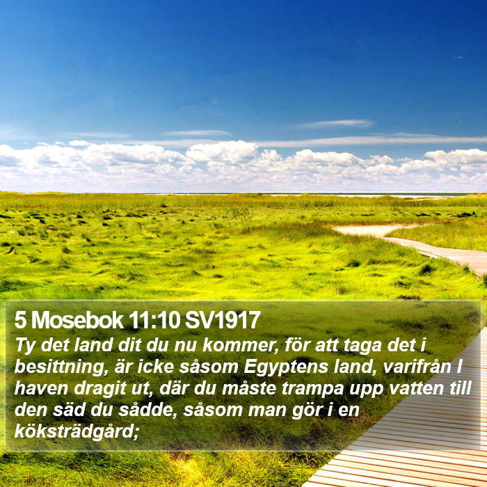 5 Mosebok 11:10 SV1917 Bible Study