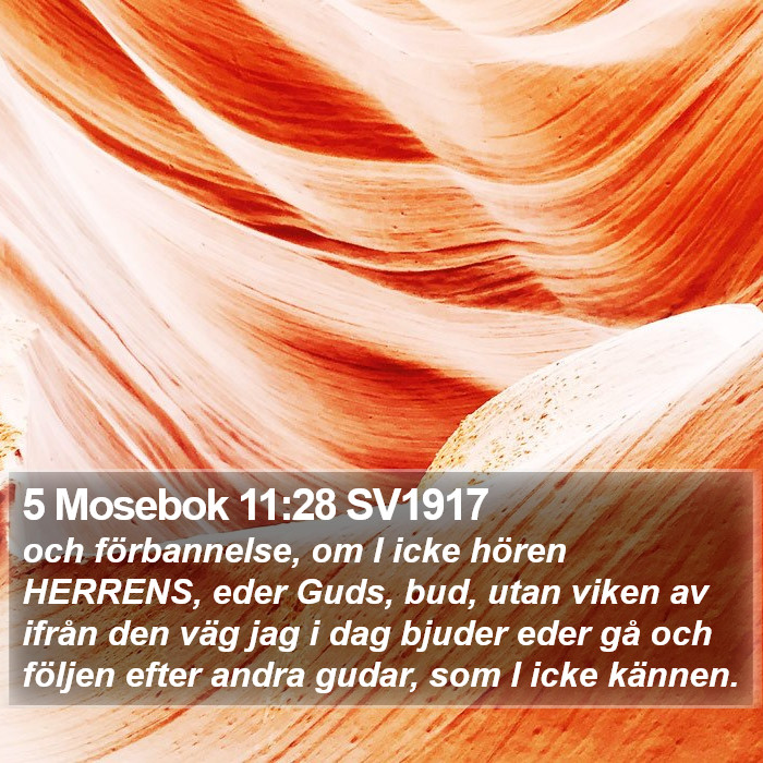 5 Mosebok 11:28 SV1917 Bible Study