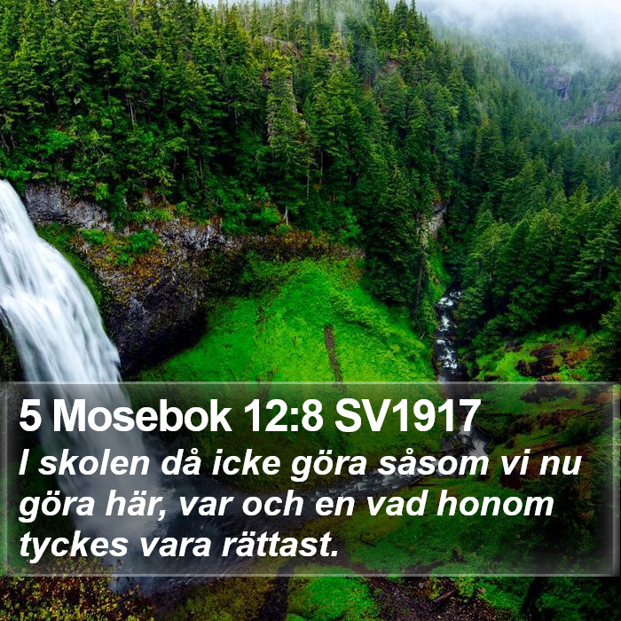 5 Mosebok 12:8 SV1917 Bible Study