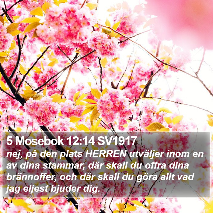 5 Mosebok 12:14 SV1917 Bible Study