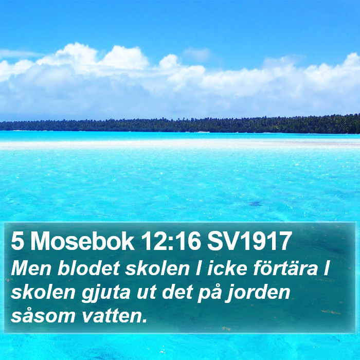 5 Mosebok 12:16 SV1917 Bible Study