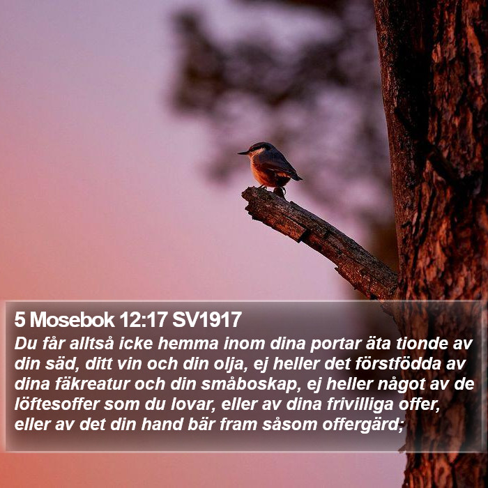 5 Mosebok 12:17 SV1917 Bible Study