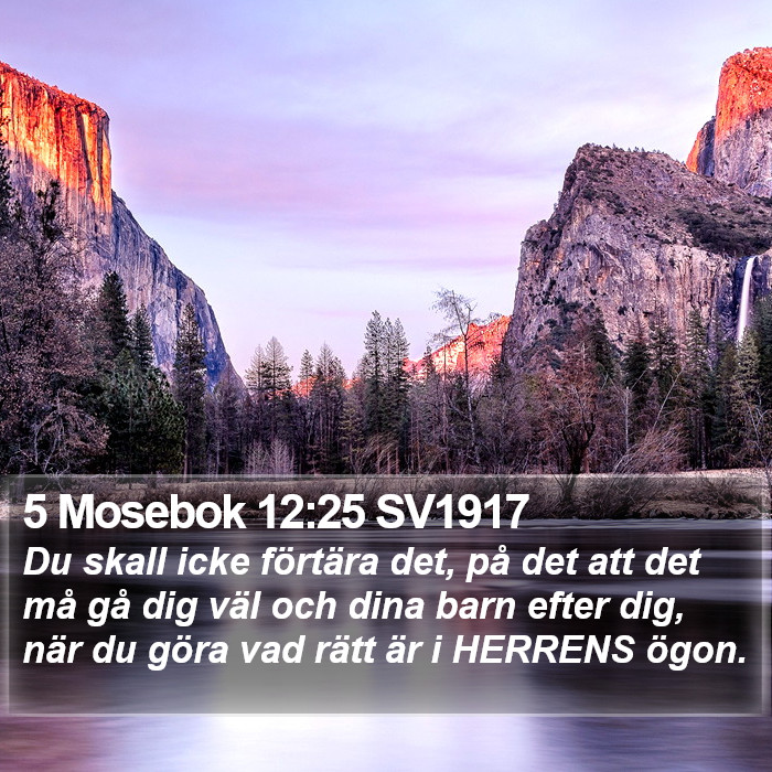 5 Mosebok 12:25 SV1917 Bible Study