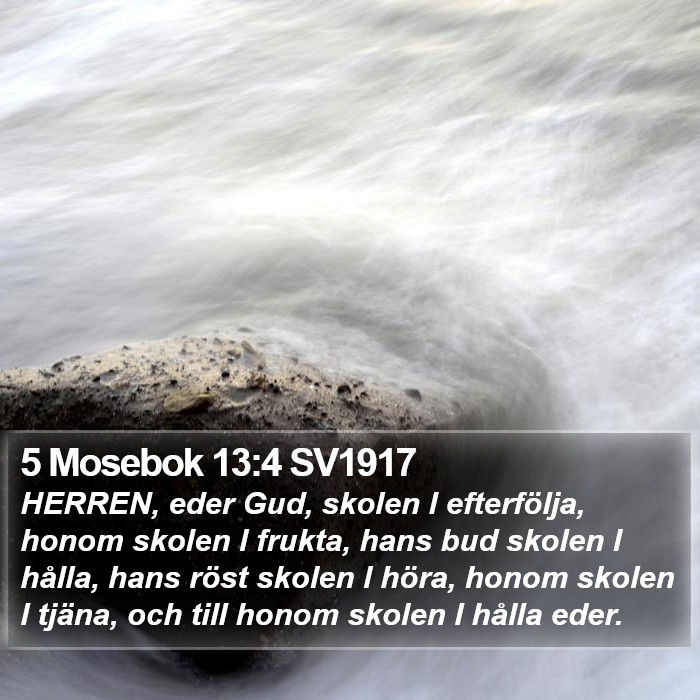 5 Mosebok 13:4 SV1917 Bible Study