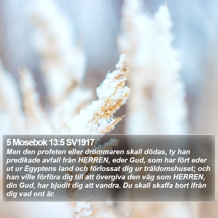 5 Mosebok 13:5 SV1917 Bible Study