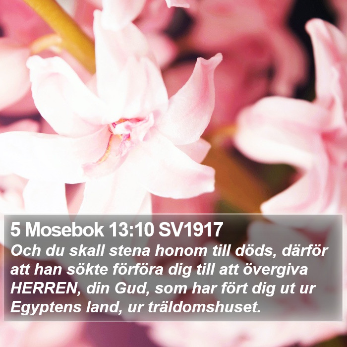 5 Mosebok 13:10 SV1917 Bible Study