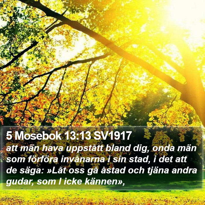 5 Mosebok 13:13 SV1917 Bible Study