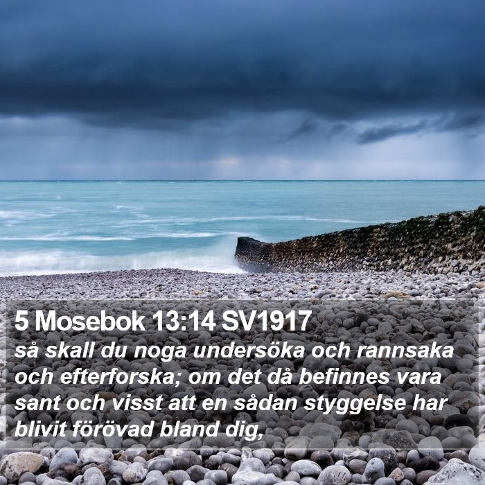 5 Mosebok 13:14 SV1917 Bible Study