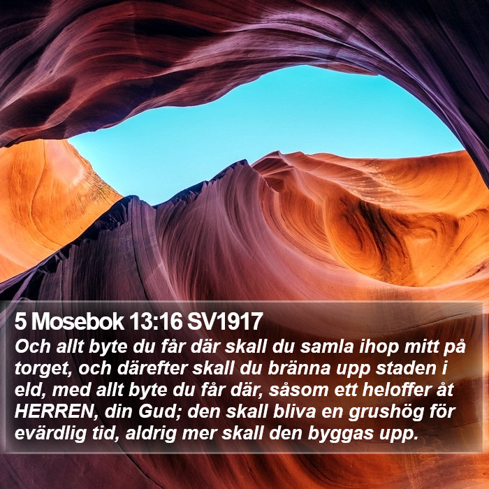 5 Mosebok 13:16 SV1917 Bible Study