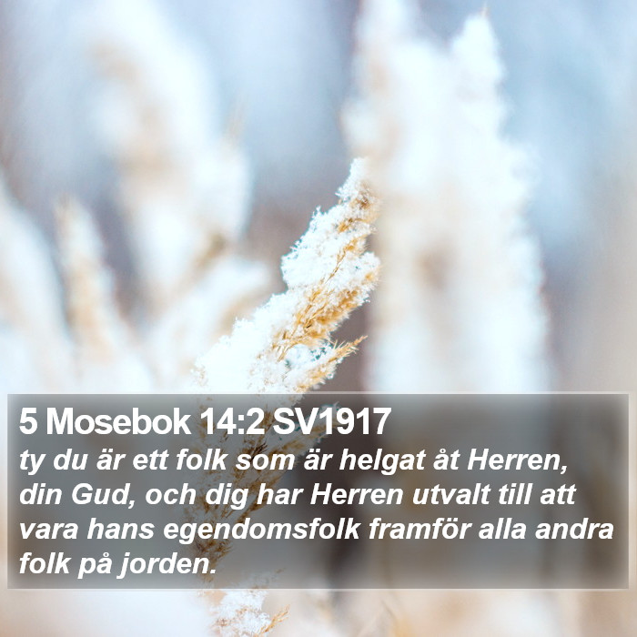 5 Mosebok 14:2 SV1917 Bible Study
