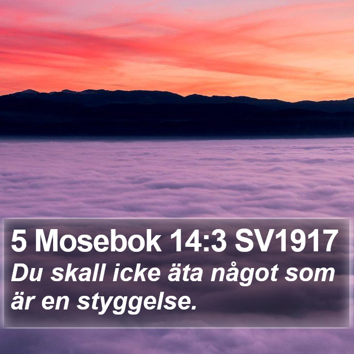 5 Mosebok 14:3 SV1917 Bible Study