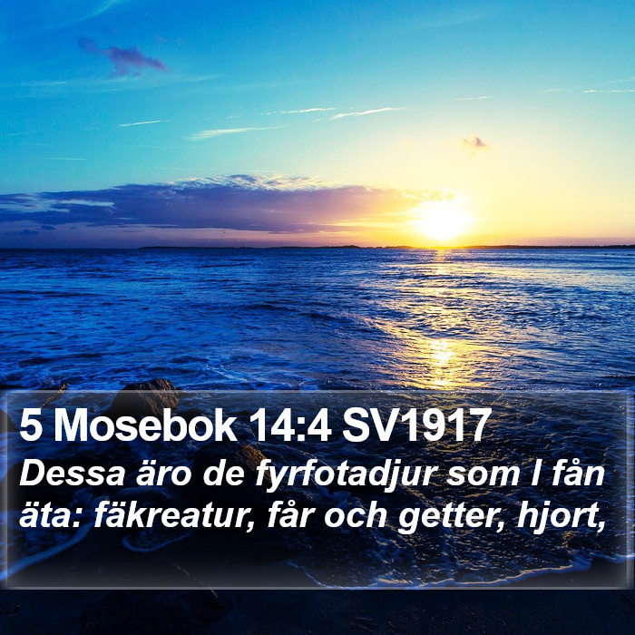 5 Mosebok 14:4 SV1917 Bible Study