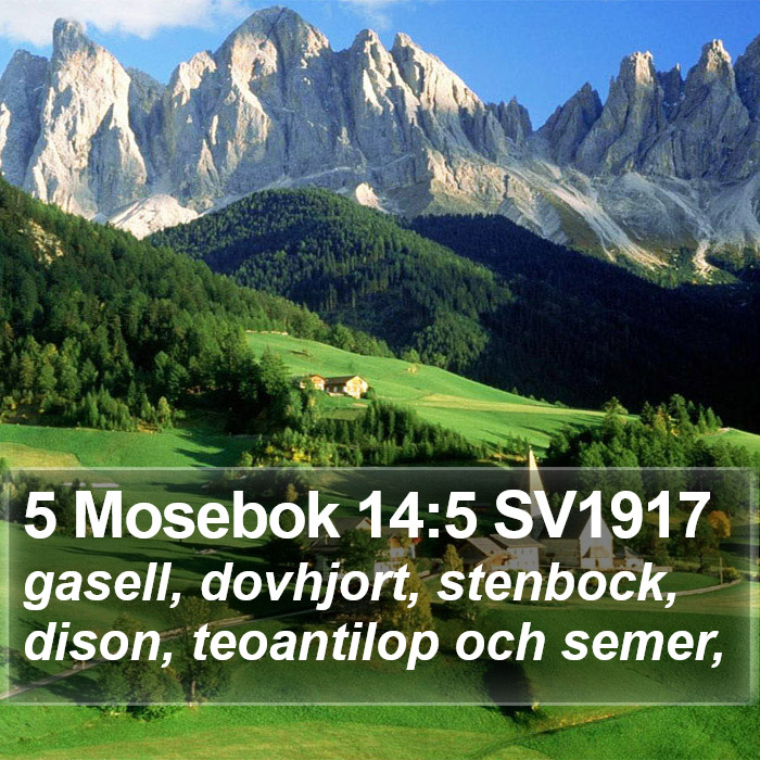 5 Mosebok 14:5 SV1917 Bible Study
