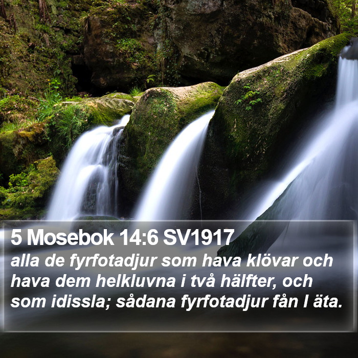5 Mosebok 14:6 SV1917 Bible Study