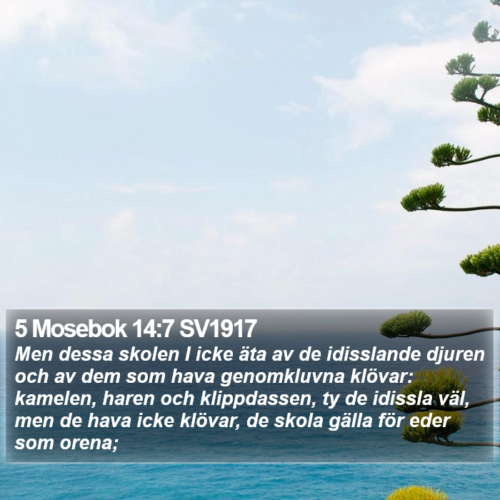 5 Mosebok 14:7 SV1917 Bible Study