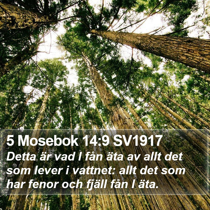 5 Mosebok 14:9 SV1917 Bible Study