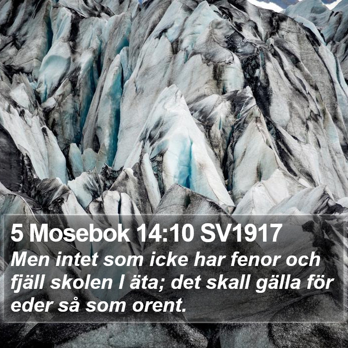5 Mosebok 14:10 SV1917 Bible Study