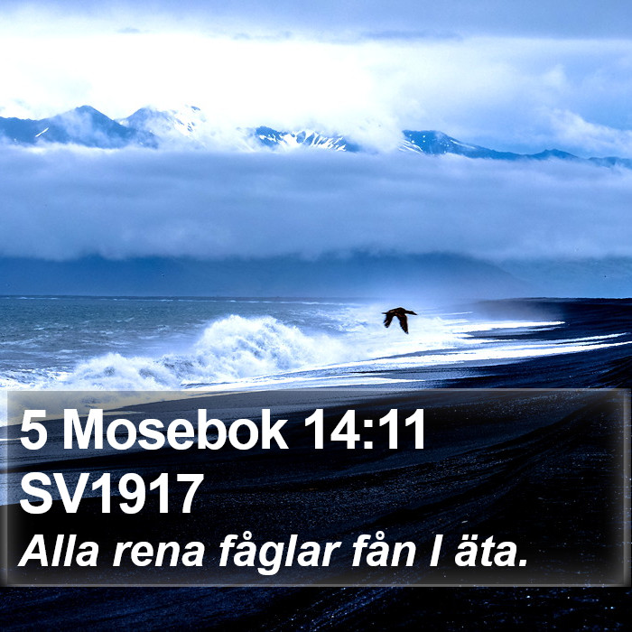 5 Mosebok 14:11 SV1917 Bible Study