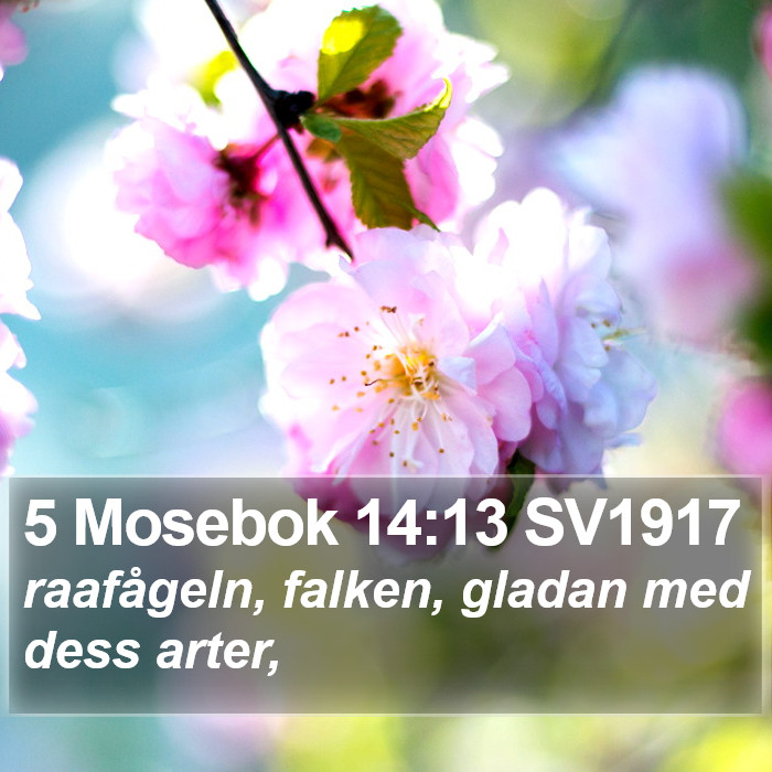 5 Mosebok 14:13 SV1917 Bible Study