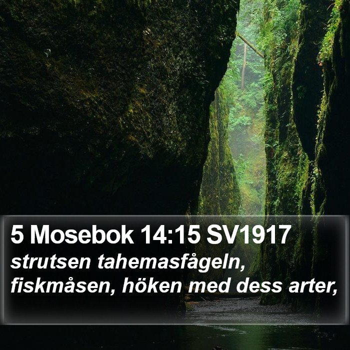 5 Mosebok 14:15 SV1917 Bible Study