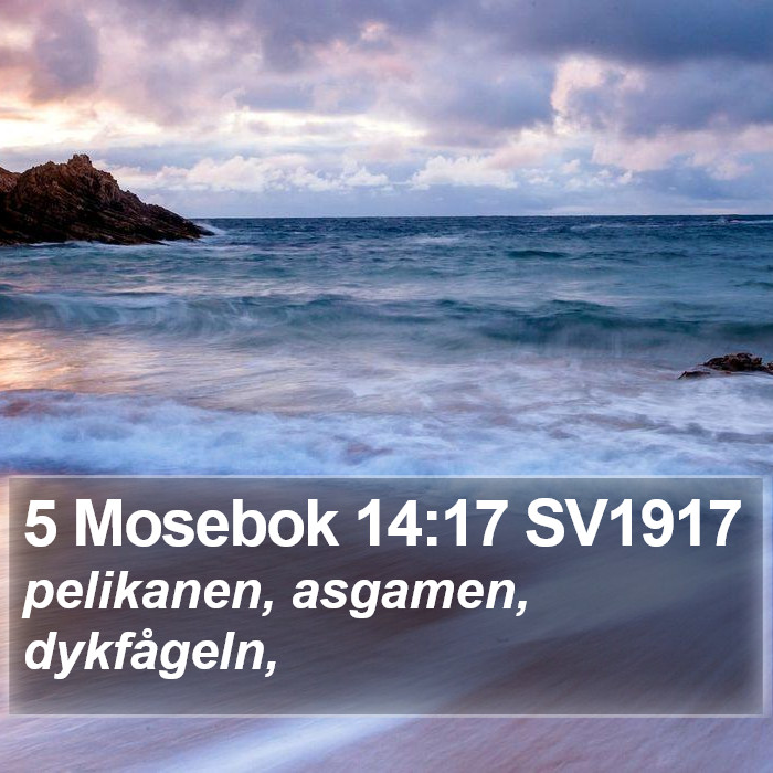 5 Mosebok 14:17 SV1917 Bible Study