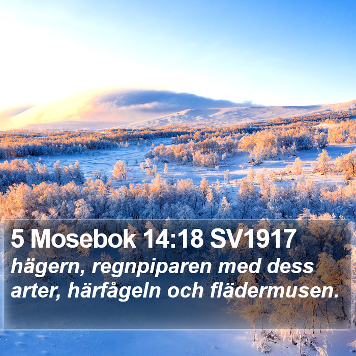 5 Mosebok 14:18 SV1917 Bible Study
