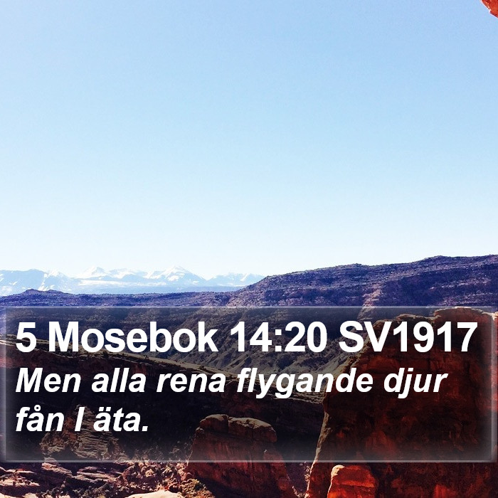 5 Mosebok 14:20 SV1917 Bible Study