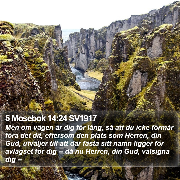 5 Mosebok 14:24 SV1917 Bible Study