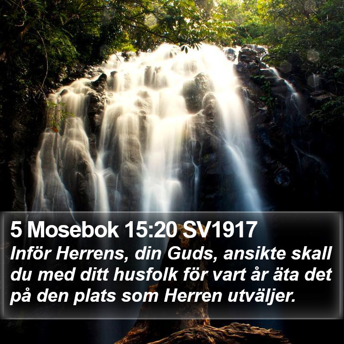 5 Mosebok 15:20 SV1917 Bible Study