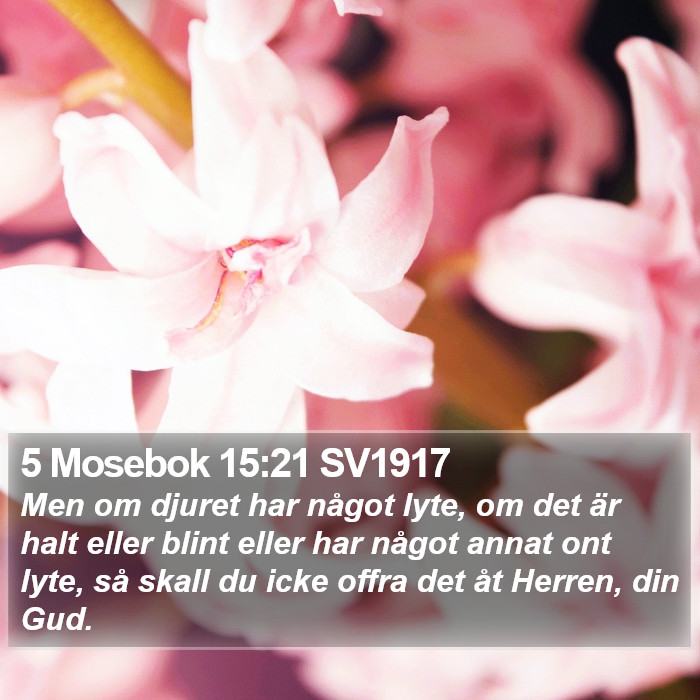 5 Mosebok 15:21 SV1917 Bible Study