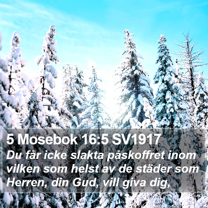 5 Mosebok 16:5 SV1917 Bible Study