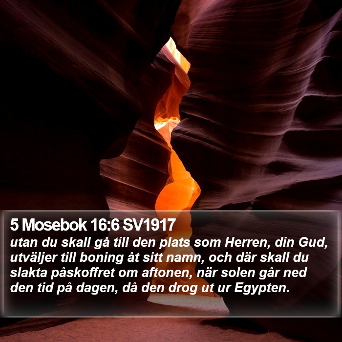 5 Mosebok 16:6 SV1917 Bible Study