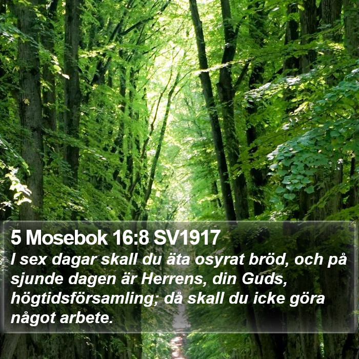 5 Mosebok 16:8 SV1917 Bible Study