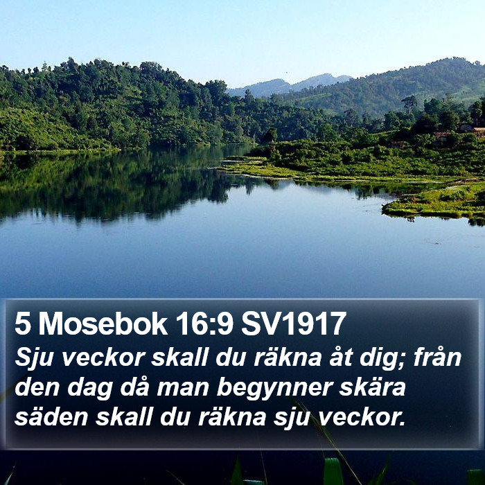 5 Mosebok 16:9 SV1917 Bible Study