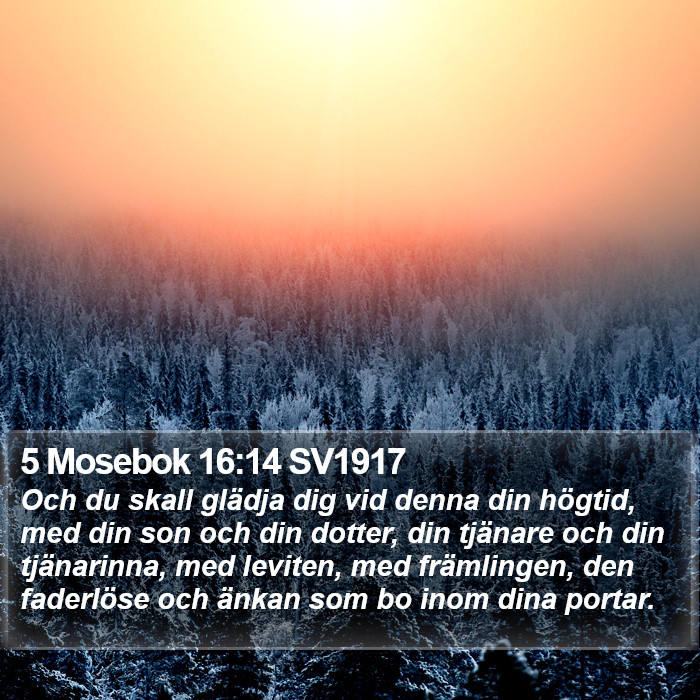 5 Mosebok 16:14 SV1917 Bible Study