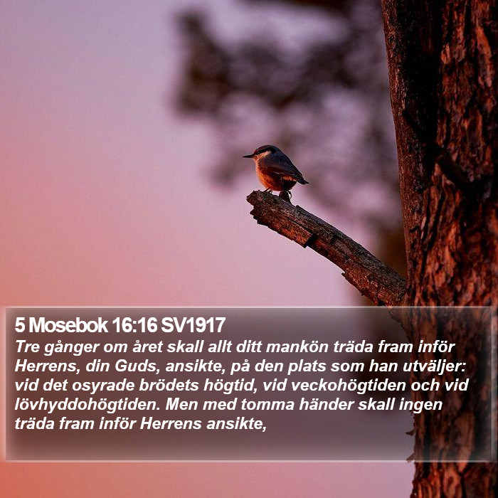 5 Mosebok 16:16 SV1917 Bible Study