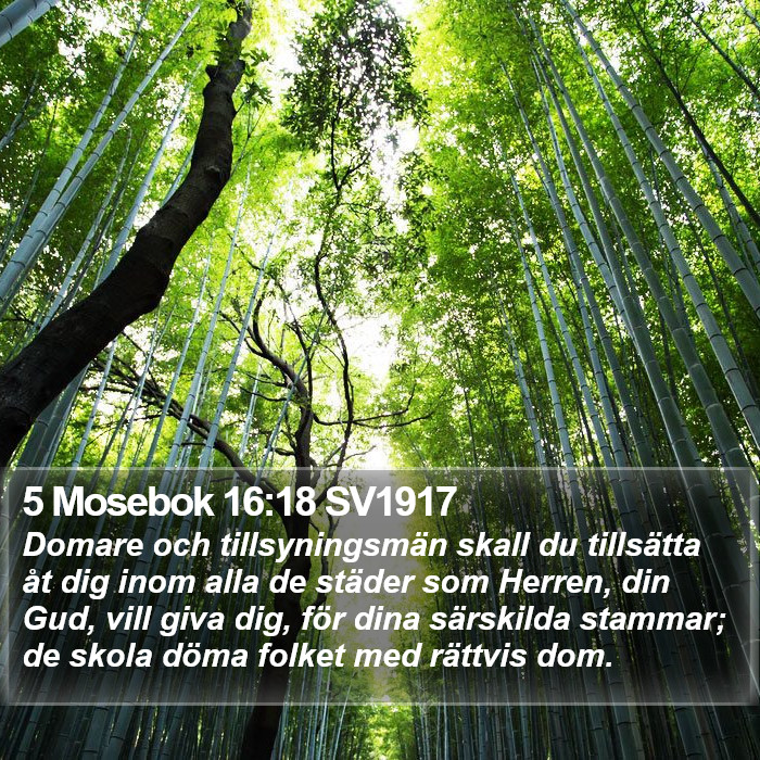 5 Mosebok 16:18 SV1917 Bible Study