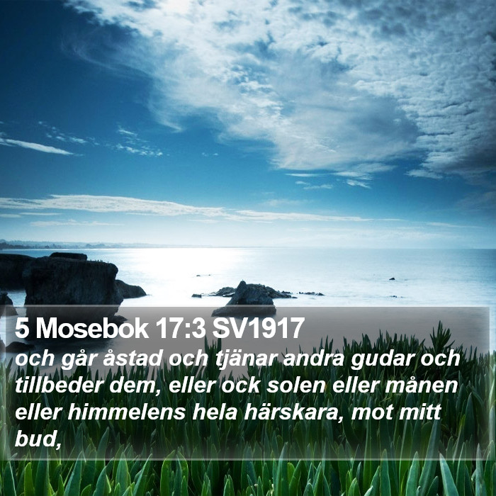 5 Mosebok 17:3 SV1917 Bible Study