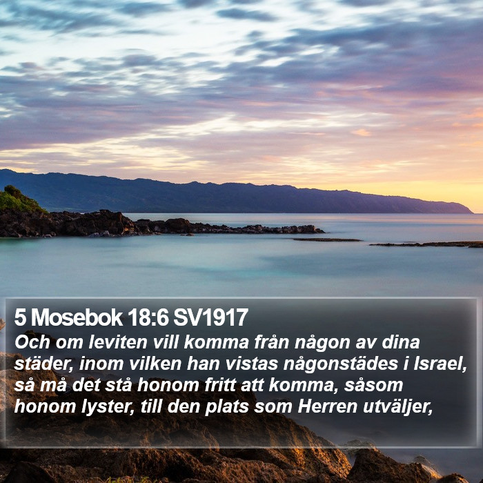 5 Mosebok 18:6 SV1917 Bible Study