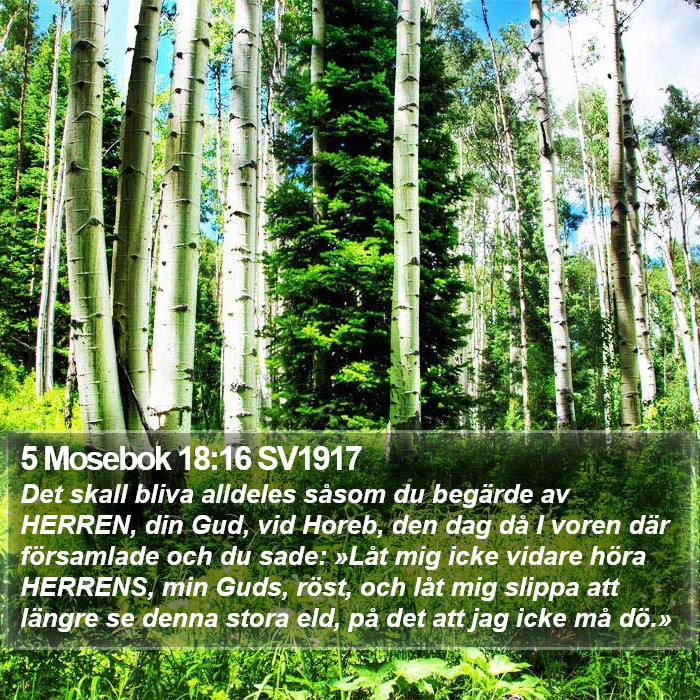 5 Mosebok 18:16 SV1917 Bible Study
