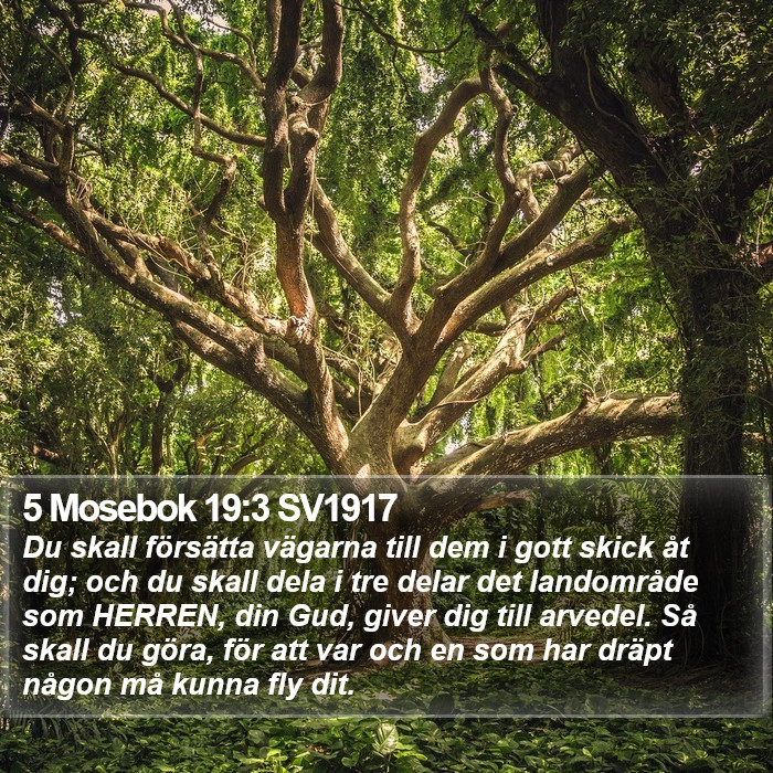 5 Mosebok 19:3 SV1917 Bible Study